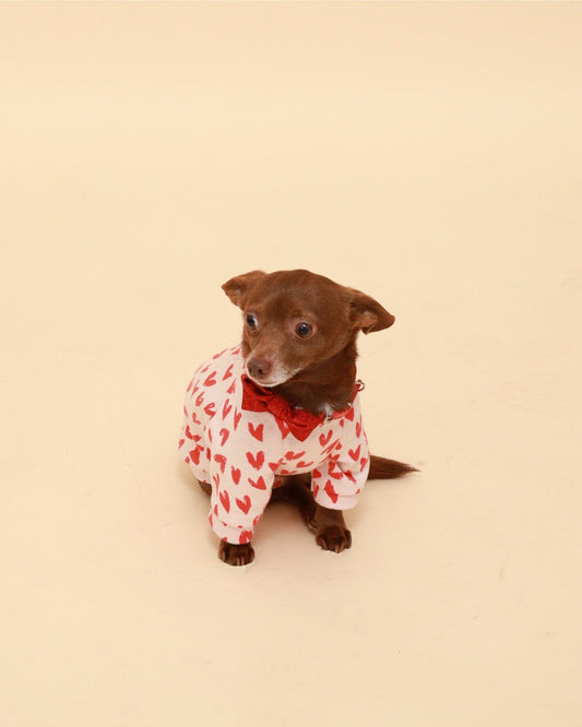 Red Hearts Cotton Raglan