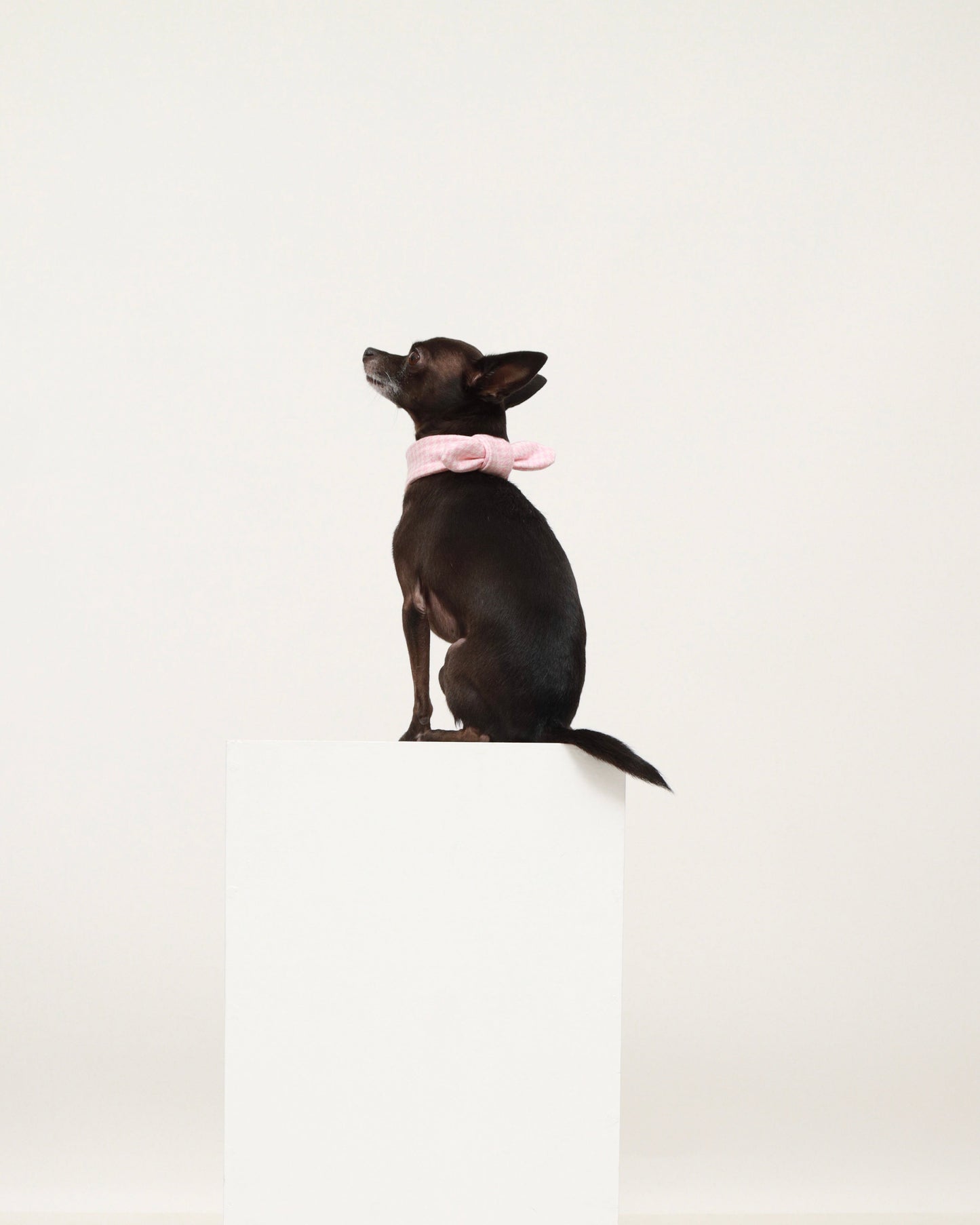 Pink Cotton Scarf