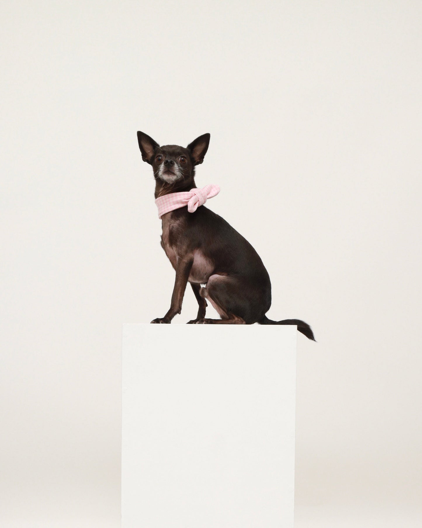 Pink Cotton Scarf