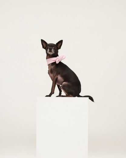 Pink Cotton Scarf