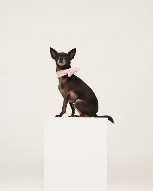 Pink Cotton Scarf