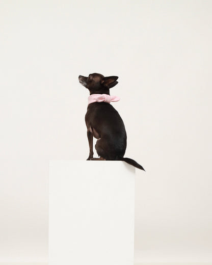 Pink Cotton Scarf