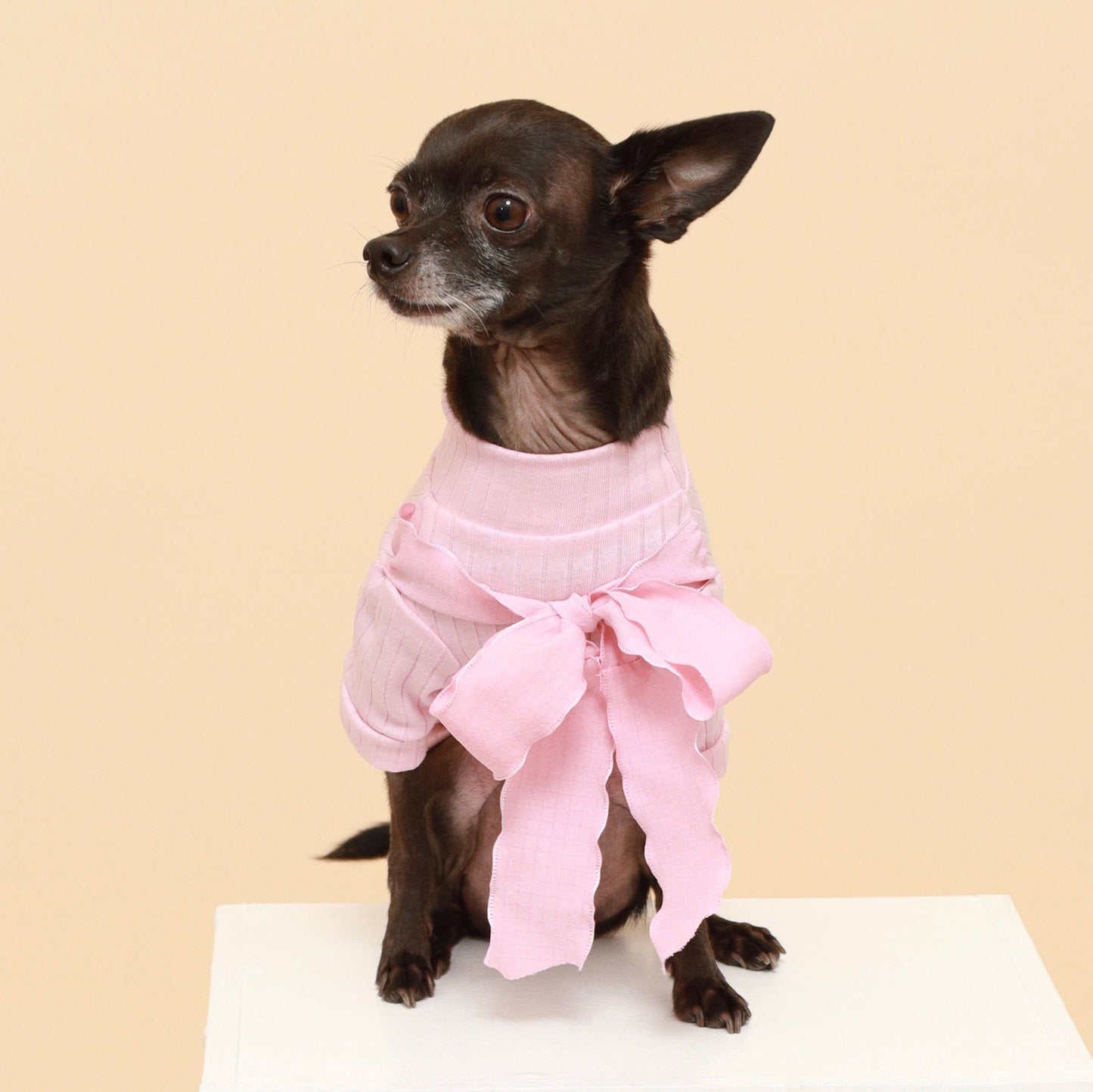 Pink Bow Cotton Turtleneck